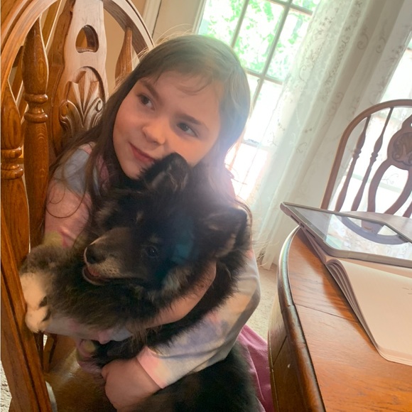 Meet your Posher, Amanda - Picture 9 of 16